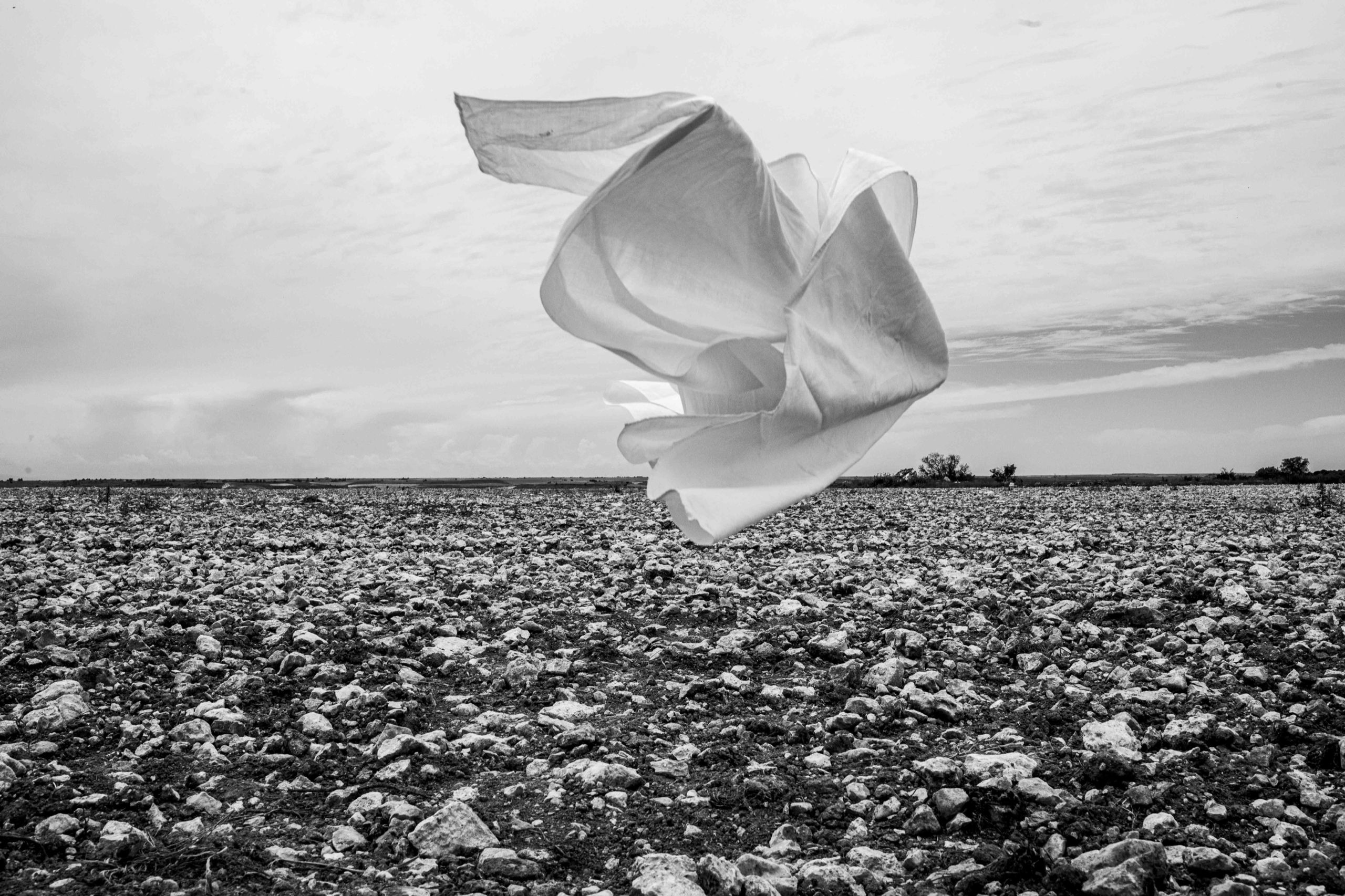 Viento sobre las piedras del páramo